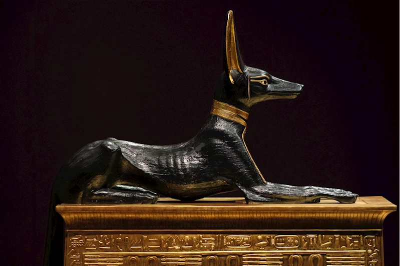 Çocuk Kral TutAnkhAmun’un Hazineleri Sergisi İstanbul Akvaryum Etkinlik Merkezi’ne geliyor