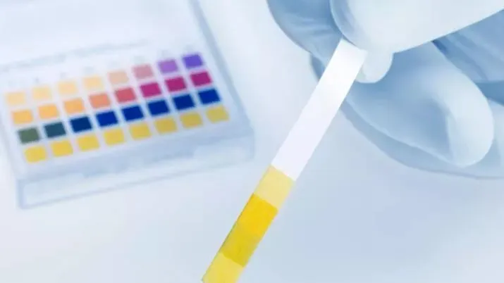 İdrarda Protein Kaçağı Nedir, Neden Olur?