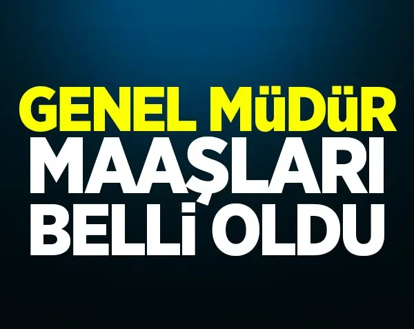 Genel müdür maaşları belli oldu