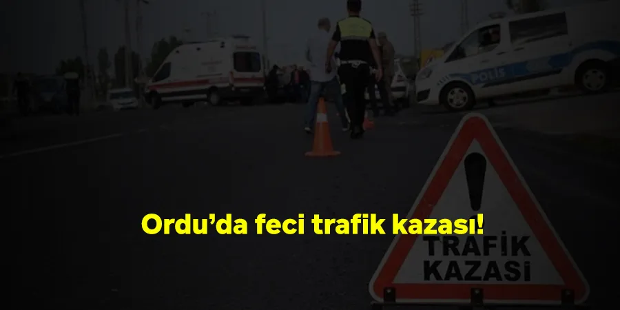 Ordu İkizce