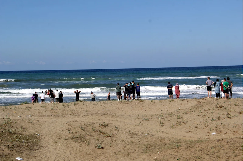 Sinop