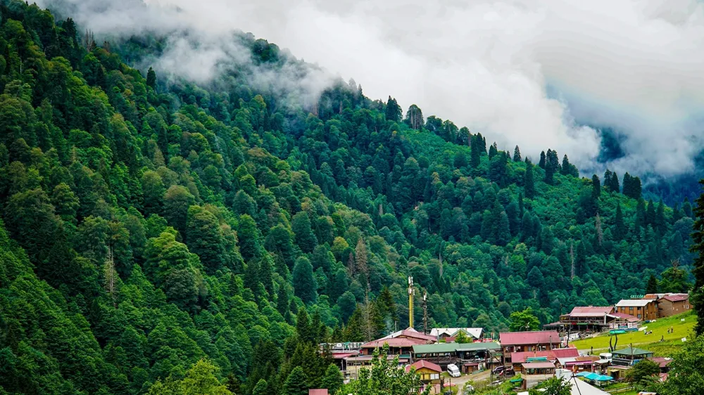 Rize’nin gözbebeği Ayder Yaylası’na nasıl gidilir? Ayder Yaylası nerede?