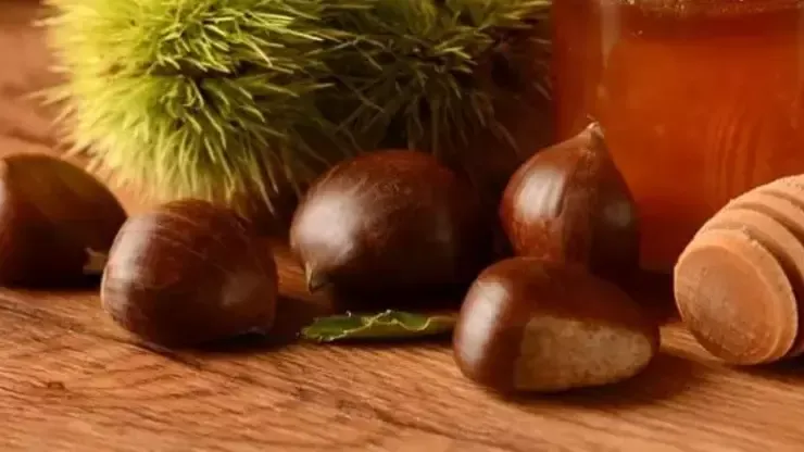 Kestane Kilo Aldırır Mı? Kestane Kilo Yapar Mı?