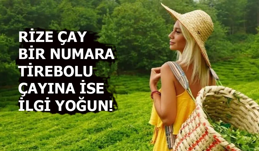 Çayın başkenti Rize