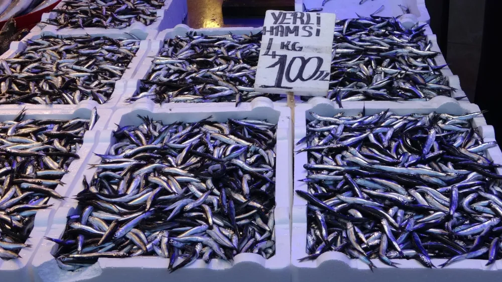 Fırtına balık fiyatlarını etkiledi! Kilosu 150 TL oldu...
