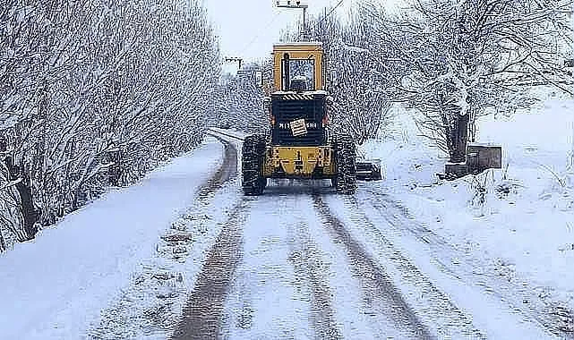 Gümüşhane, Giresun, Artvin ve Rize