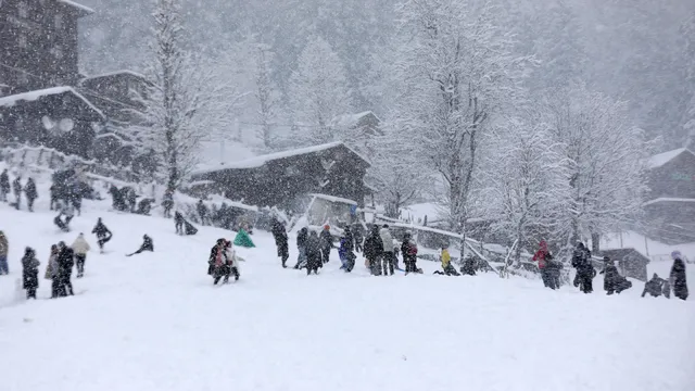 Rize