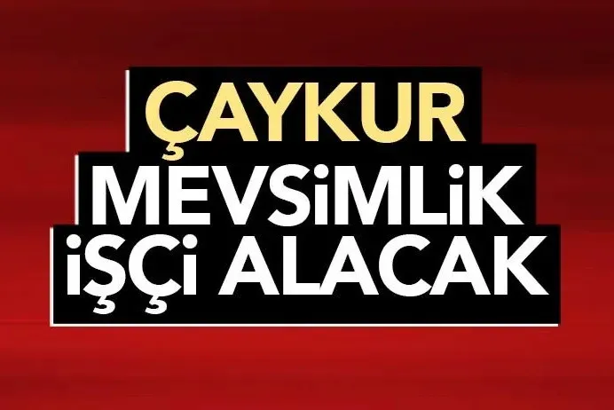 Çaykur