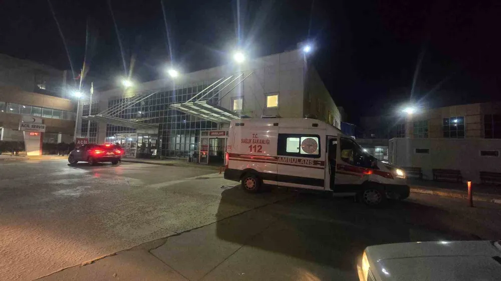 Tokat’ta minibüs elektrik direğine çarptı, 3 yaralı