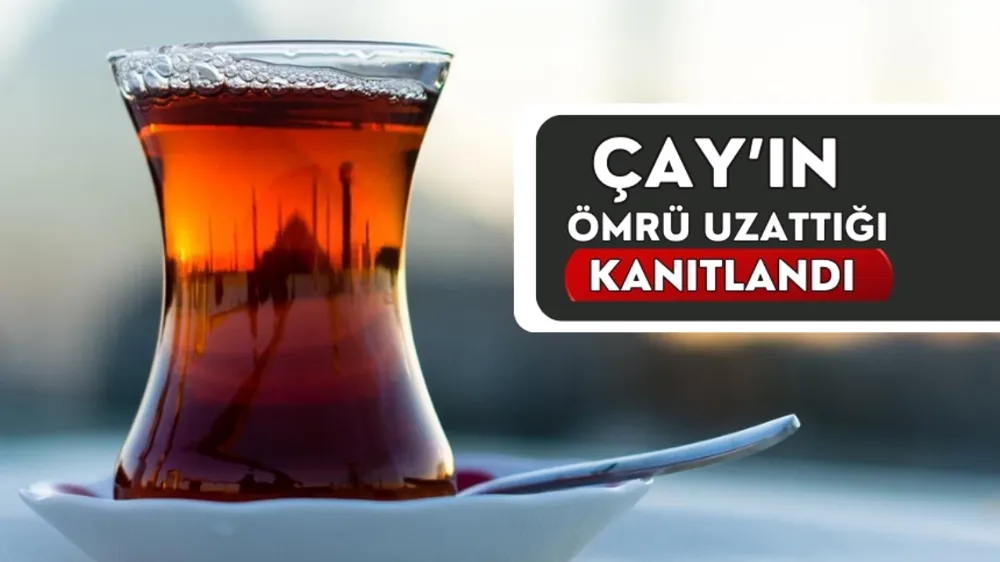 Çay Tiryakilerine Güzel Haber: Çay Tüketiminin Ömrü Uzattığı Kanıtlandı