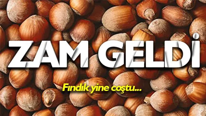 Fındık fiyatlarına bir zam daha  Güncel fiyat... (10 Mart 2024)