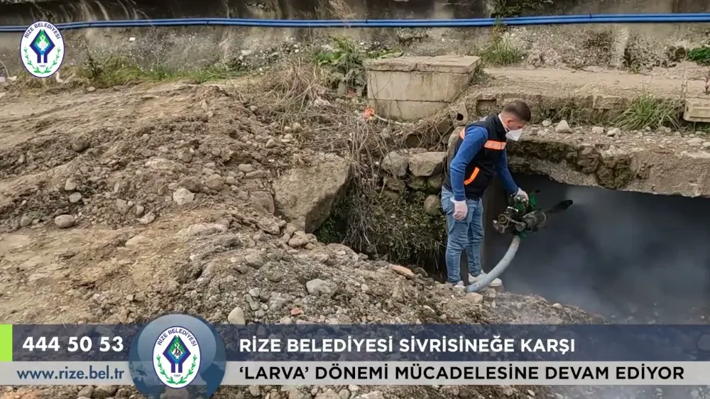 Rize Belediyesi, Sivrisineklere Karşı 
