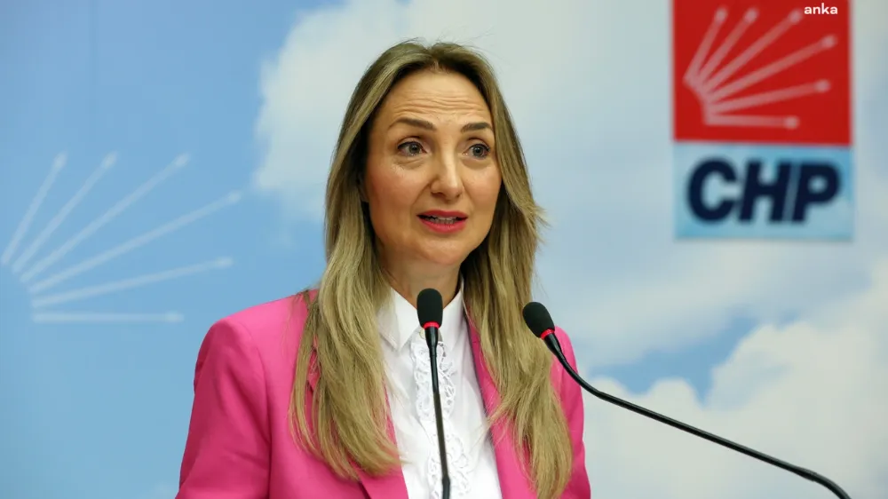 Aylin Nazlıaka Neden İhraç Edildi?