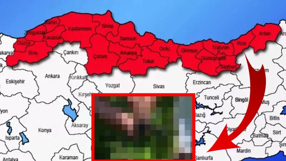 Karadeniz
