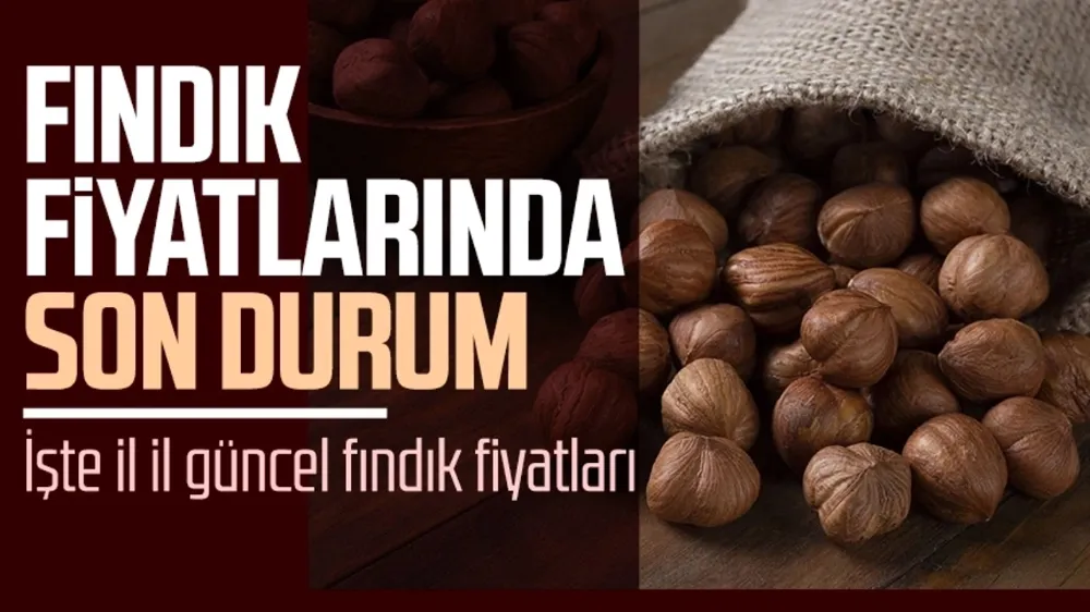 Fındık fiyatları ne kadar oldu? İşte 30 Mart Cumatesi il il fındık fiyatları