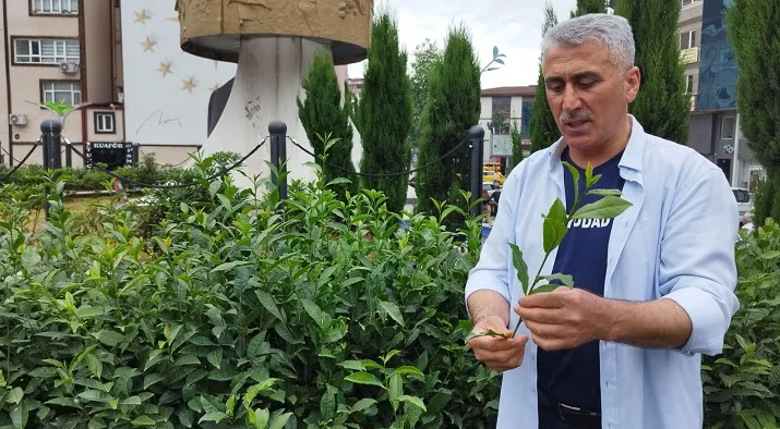 Üretici Derneğinden Müstahsile Uyarı Geldi