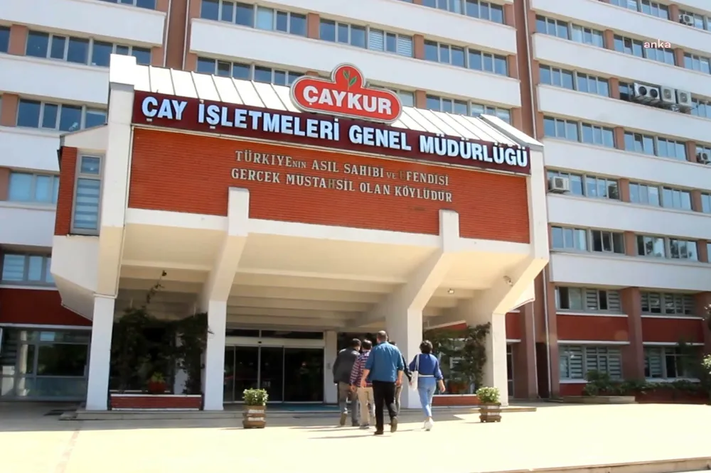Rizeli çay üreticilerinin yaş çay alım fiyatı beklentisi belli oldu!