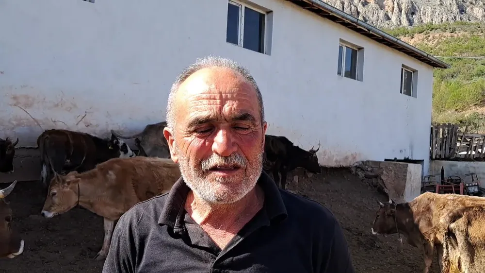 ARDANUÇLU BESİCİ: 