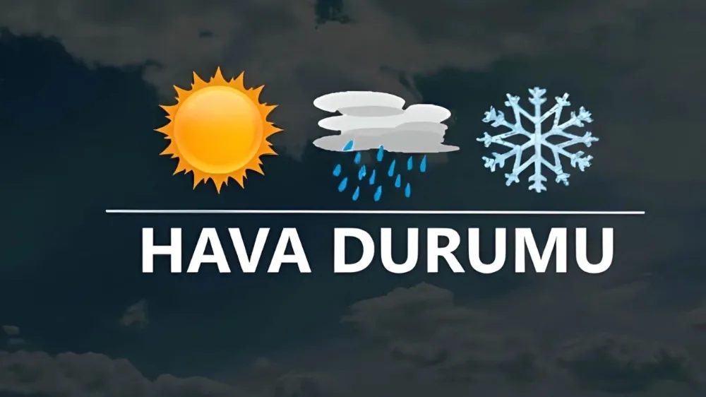 Artvin