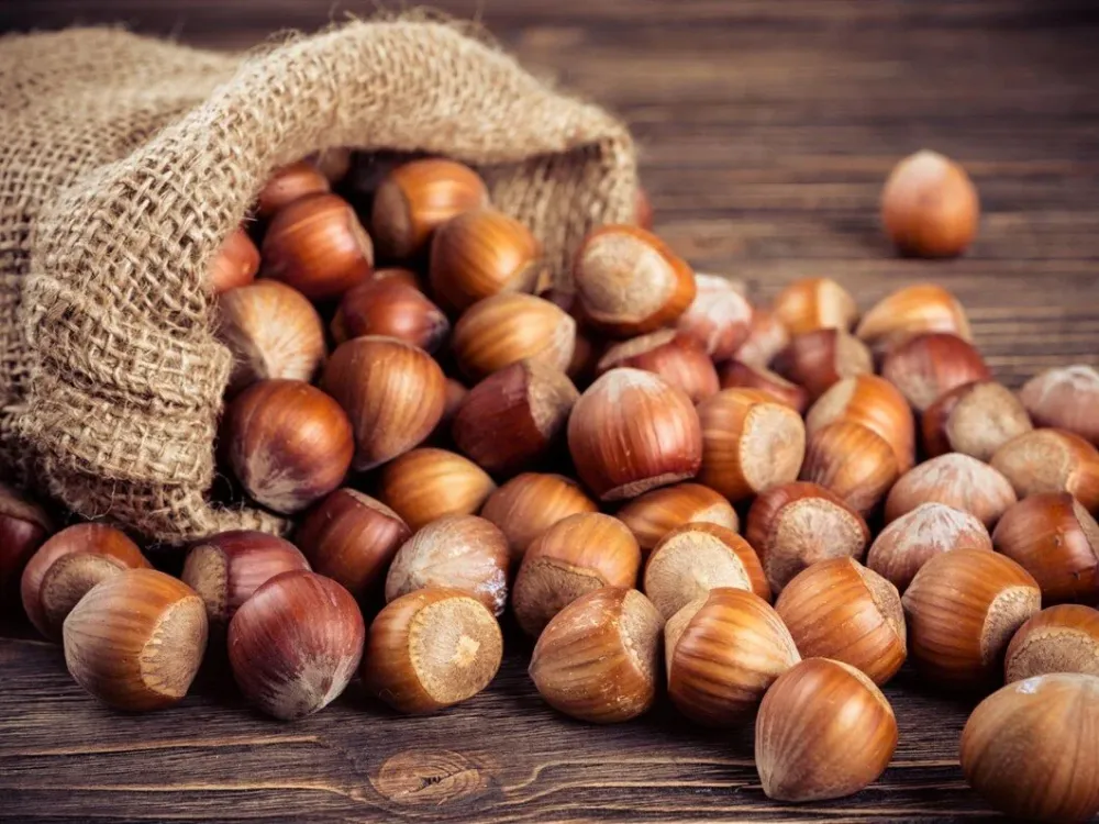 25 Nisan FINDIK FİYATLARI: Fındık bugün ne kadar?