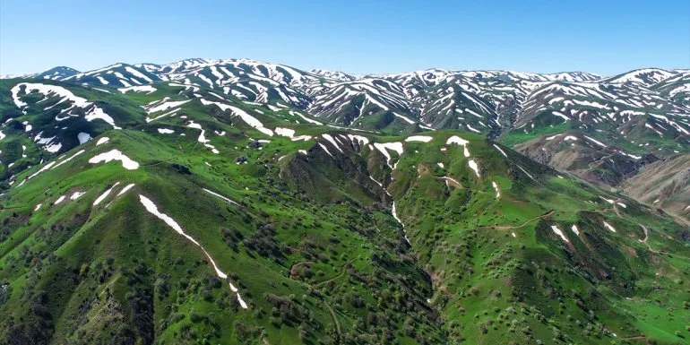 Erzurum