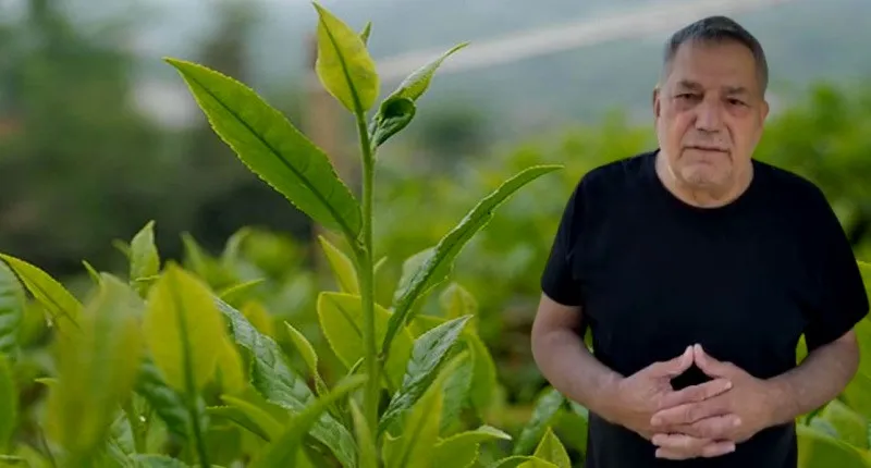 RİZELİ MAĞDUR EDİLMİŞTİR. ÇAY FİYATI ERİMEYE DEVAM EDİYOR