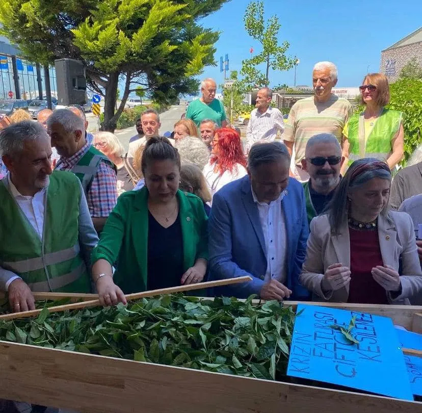 Fındıklı İlçesinde Büyük Çay Yürüyüşü: Çay Üreticileri Fiyatları Protesto Etti