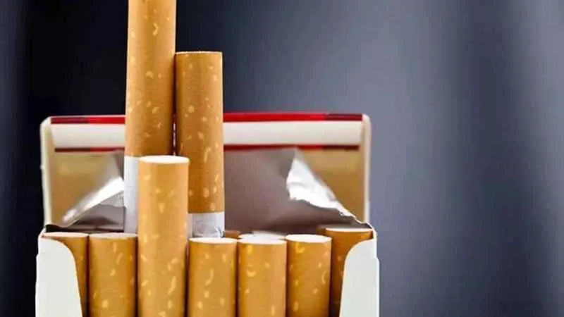 Lark Fiyat 2024: Lark Fiyatı Ne Kadar?