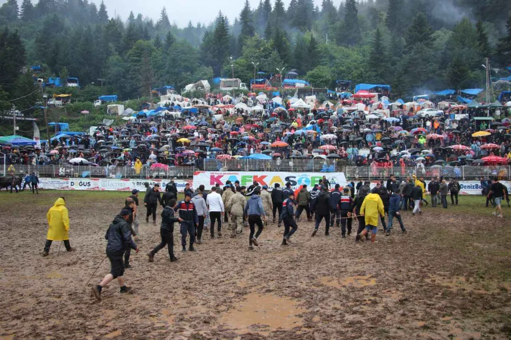 Boğa Güreşleriyle Heyecan, Konserlerle Eğlence: Artvin