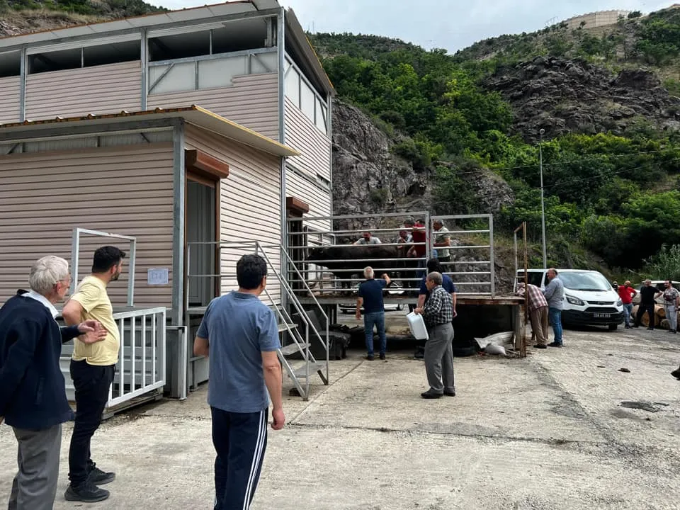 Artvin Belediyesi Modern ve Hijyenik Kurban Kesim Hizmetiyle Vatandaşların Memnuniyetini Kazandı