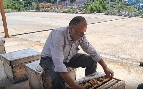 Artvin Arıcılar Birlik Başkanı: 