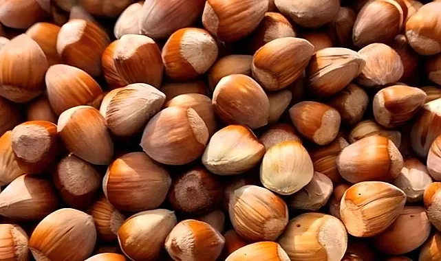 Fındık Fiyatlarında Son Durum: 23 Haziran 2024 Güncel Rakamlar