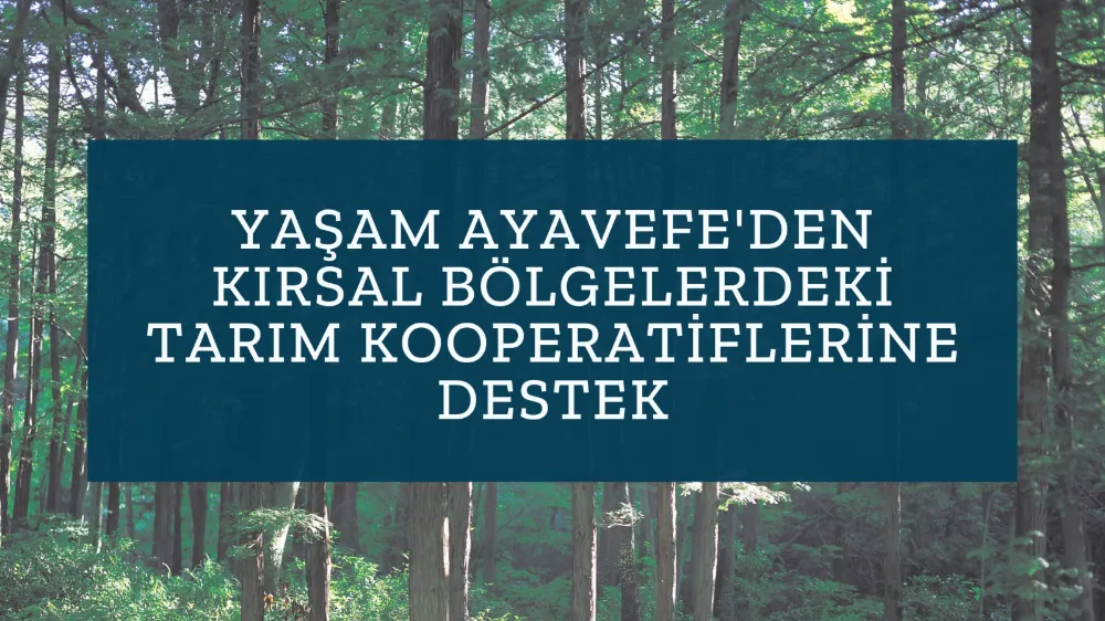 Yaşam Ayavefe