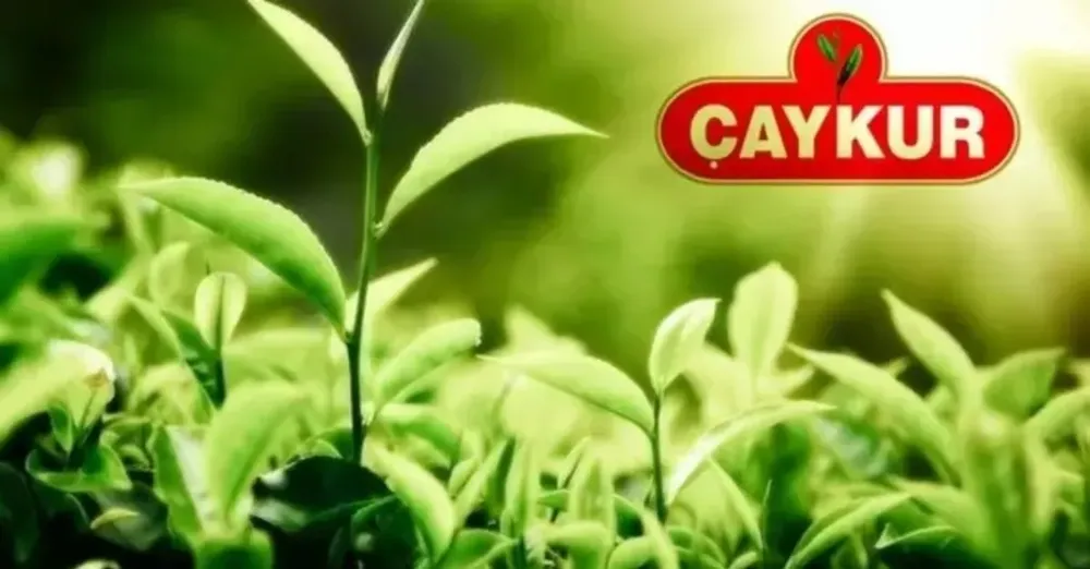 Çaykur