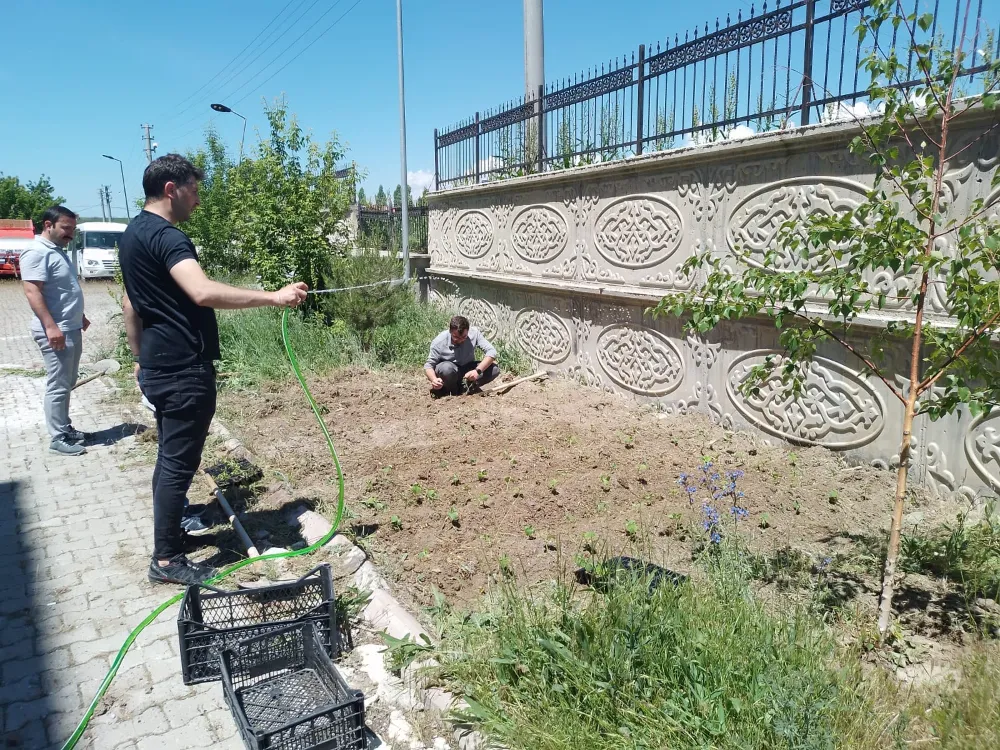 Doğu Anadolu