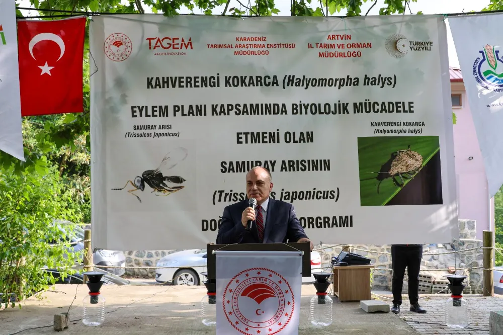 Vali Cengiz Ünsal