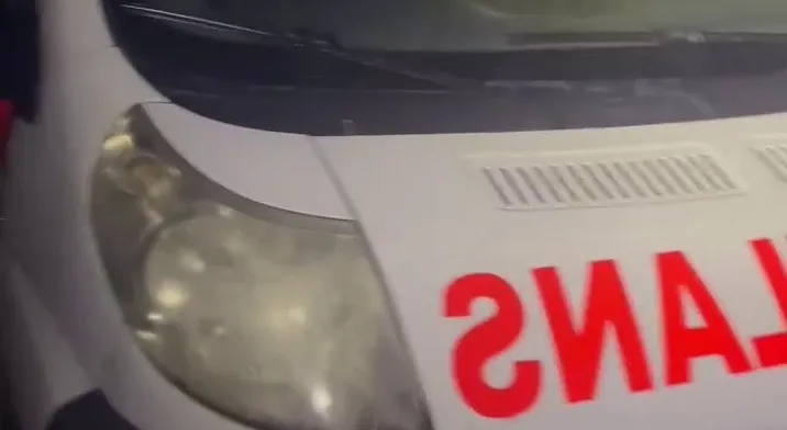 Rize Pazar’da Ambulansta Havasızlık İçinde Köpeklerin Yaşam Savaşı