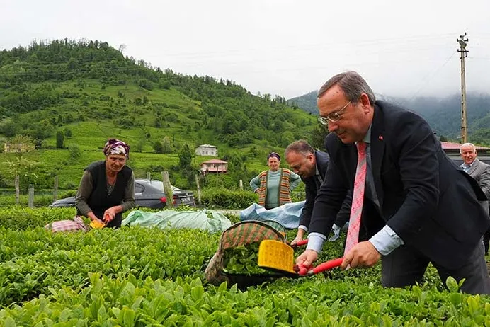 ÇAYKUR