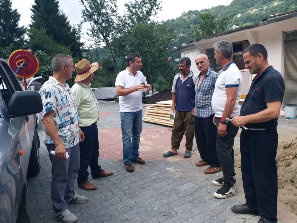 Kahverengi Kokarca ile Mücadelede Yeni Adımlar: Trabzon’da Kimyasal İlaçlama Devam Ediyor