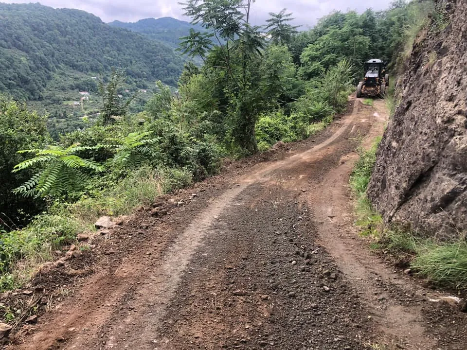 Beşikdüzü