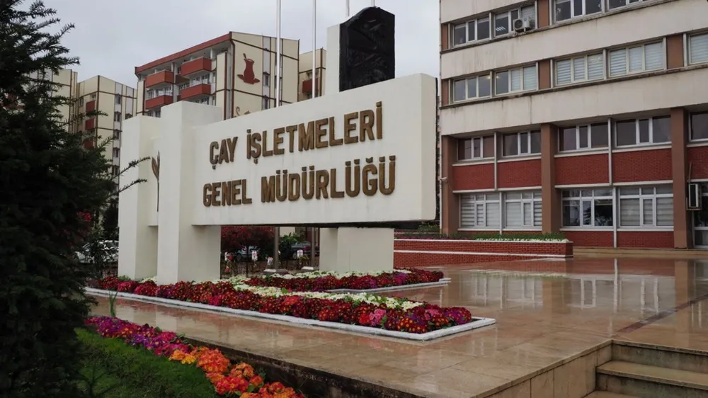 ÇAYKUR Açıkladı:  Haziran Ayına Ait Yaş Çay Bedeli Ödemeleri yapıldı