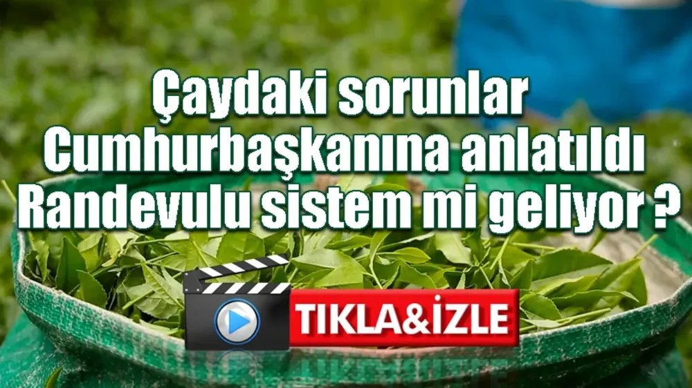 Çaydaki sorunlar Cumhurbaşkanına anlatıldı. Randevulu sistem mi geliyor ?