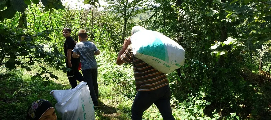 Trabzonlu fındık üreticileri: “İnsanların kendi coğrafyalarına tutunabilmeleri engelleniyor”