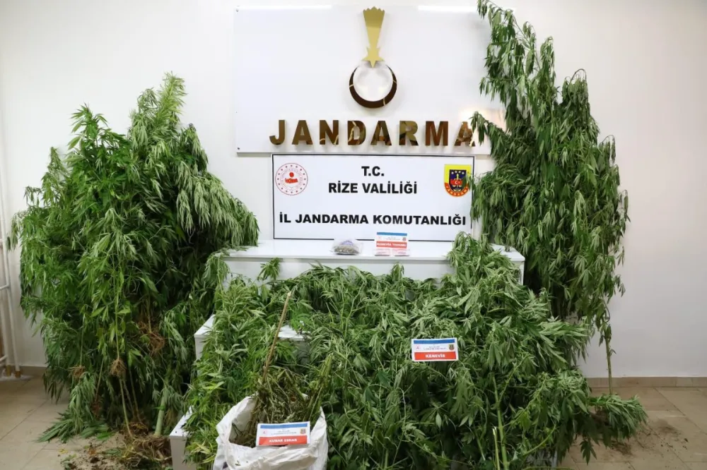 Rize Jandarmasından Uyuşturucu Operasyonu