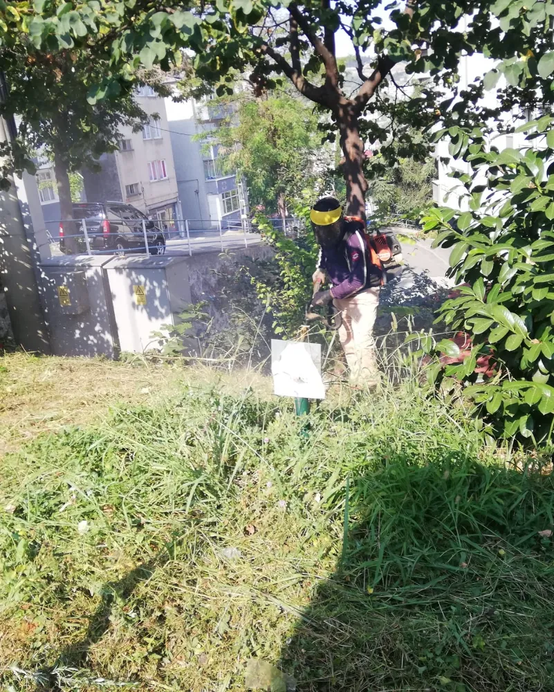Halkın Belediyesi İş Başında: Ortahisar