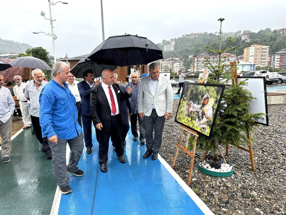Çayeli
