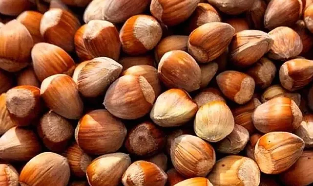 Fındık Fiyatlarında Son Durum: 4 Eylül 2024 Güncel Fiyatlar