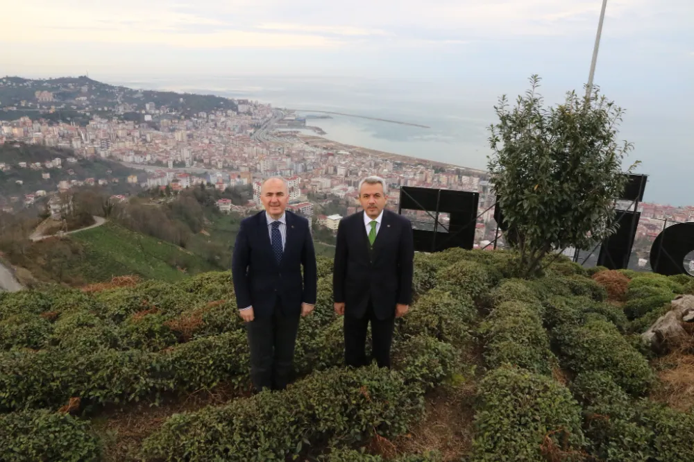 Rize Belediyesi