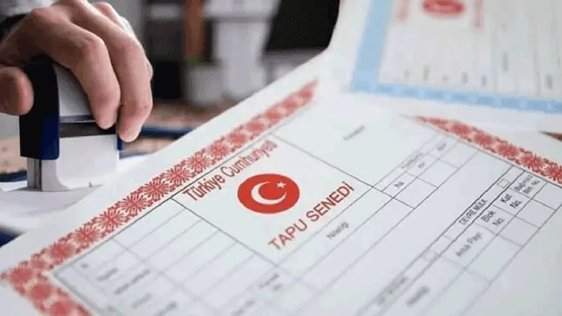2025 Doğum Sigortası Nedir?