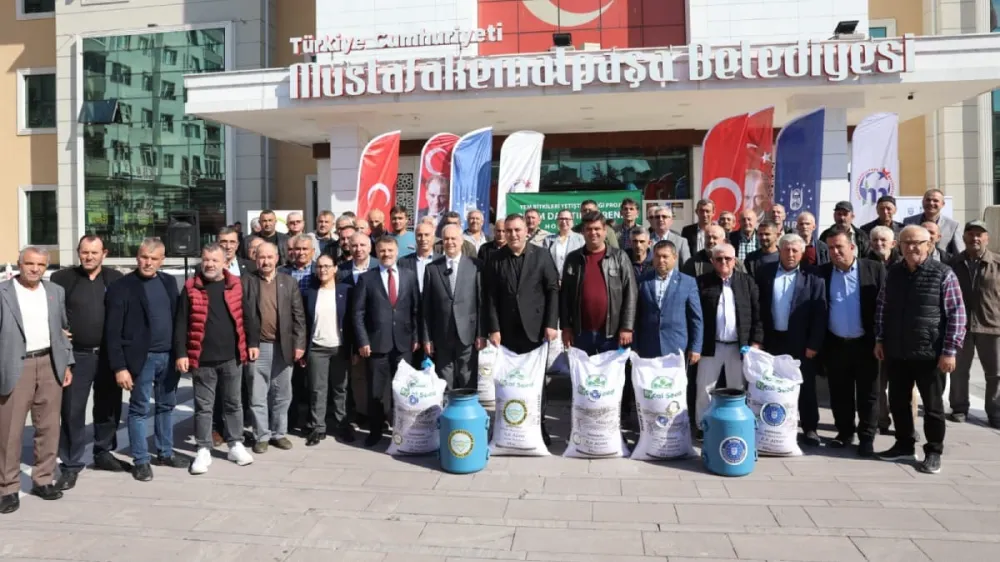 Büyükşehir